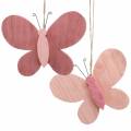 Floristik24 Farfalla per appendere legno rosa 13 cm x 22 cm 2 pezzi