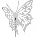 Floristik24 Spina per fiori farfalla, decorazione da giardino in metallo, spina per piante shabby chic bianco, argento L51cm 3pz