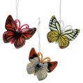 Floristik24 Farfalle da appendere colorate assortite 5,5cm 3pz