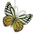 Floristik24 Farfalle da appendere colorate assortite 5,5cm 3pz