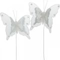 Floristik24 Farfalle con perle e mica, addobbi nuziali, farfalle in piuma su filo bianco