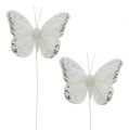 Floristik24 Farfalle bianche 8 cm con mica 6 pezzi