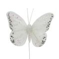 Floristik24 Farfalle bianche 8 cm con mica 6 pezzi