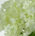 Floristik24 Palla di neve, fiori di seta bianchi 47cm