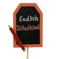 Floristik24 Tappo decorativo rientro a scuola “Finalmente bambino che fa scuola” legno 7×5,5cm 16pz