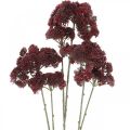 Floristik24 Sedum sedum rosso artificiale decorazione autunnale 70 cm 3 pezzi