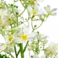 Floristik24 Esplosione di seta artificiale, decorazione floreale, fiore di seta, decorazione fiore bianco L72cm