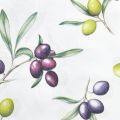 Floristik24 Tovaglioli con olive decorazione tavola estiva 33x33 cm 20 pz