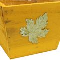 Floristik24 Cassetta per piante in legno shabby chic cassetta in legno gialla 11×14,5×14 cm