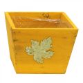 Floristik24 Cassetta per piante in legno shabby chic cassetta in legno gialla 11×14,5×14 cm