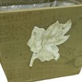 Floristik24 Cassetta per piante in legno shabby chic cassetta in legno verde 11×14,5×14 cm