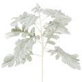 Floristik24 Ramo artificiale di Senecio, foglia argentata, finemente lavorato, 45 cm, 3 pezzi