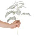 Ramo artificiale di Senecio, foglia argentata, finemente lavorato, 45 cm, 3 pezzi | Floristik24.it
