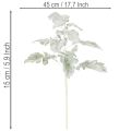 Ramo artificiale di Senecio, foglia argentata, finemente lavorato, 45 cm, 3 pezzi | Floristik24.it