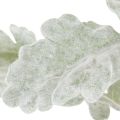 Ramo artificiale di Senecio, foglia argentata, finemente lavorato, 45 cm, 3 pezzi | Floristik24.it