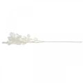 Floristik24 Ramo decorativo foglia argento bianco Ramo Lunaria ramo artificiale 70cm