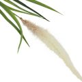 Floristik24 Erba capelli argento pianta verde erba dolce artificiale 104 cm