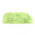 Floristik24 Sisal May decorazione verde fibra naturale fibra di sisal 300g