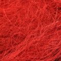 Floristik24 Sisal rosso bordeaux fibra naturale 300g