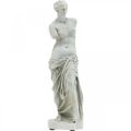 Floristik24 Statua di Venere scultura decorativa H29cm figura decorativa grigio-marrone da giardino