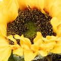 Girasole artificiale con foglie e fiori realistici, 58 cm, 3 pezzi | Floristik24.it