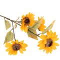 Girasole artificiale,