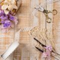 Nastro decorativo con pizzo, in cotone, con bordo fine, in rotolo, largo 25 mm, lungo 10 m. | Floristik24.it