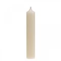 Floristik24 Candela conica candela bianca crema decorazione 120mm / Ø21mm 6pz