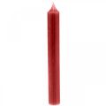 Floristik24 Candele candeline color rosso rubino 180mm/Ø21mm 6pz