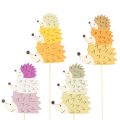 Floristik24 Paletti decorativi da giardino - Famiglia di ricci colorati - 34 cm, 12 pezzi