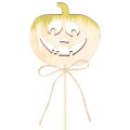 Zucca decorativa con viso,