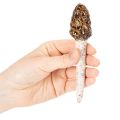 Stecco decorativo artificiale a forma di fungo spugnola per vasi e tavoli, 13 cm, 2 pezzi | Floristik24.it