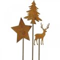 Floristik24 Paletto da giardino patina cervo deco stella abete H9.5/10.5cm 9pz