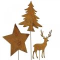 Floristik24 Paletto da giardino patina cervo decoro stella abete H14/20 3pz