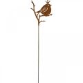 Floristik24 Spina decorativa da giardino Patina uccello in metallo con corona 6 pezzi