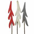 Floristik24 Tappi decorativi abete rosso / grigio / bianco H42cm 6 pezzi