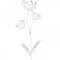 Floristik24 Decorazione primaverile, deco plug fiore shabby chic bianco, argento L87cm L18cm