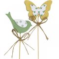 Floristik24 Spina uccello farfalla, decorazione in legno, spina per piante decorazione a molla verde, giallo L24/25cm 12pz