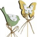 Floristik24 Spina uccello farfalla, decorazione in legno, spina per piante decorazione a molla verde, giallo L24/25cm 12pz