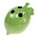 Floristik24 Vaso in gres Lemon Lime Green 15cm