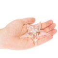 Stelle decorative in acrilico trasparente iridescente, decorazioni per albero di Natale, 9 cm, 6 pezzi | Floristik24.it
