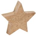 Set di stelle decorative in