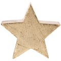 Supporto decorativo a forma di stella natalizia per tavolo o mensola, 10 cm, 3 pezzi | Floristik24.it