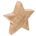 Stelle decorative lucide per
