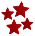 Floristik24 Star mix rosso floccato 4-5cm 40 pezzi