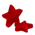 Floristik24 Star mix rosso floccato 4-5cm 40 pezzi