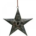 Floristik24 Appendino natalizio Star Metal Star Black H19cm