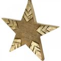 Floristik24 Stella in legno di mango naturale, stella in legno dorato grande da appendere 25 cm 2 pezzi