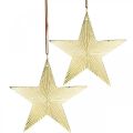 Floristik24 Stella d&#39;oro, decorazione dell&#39;avvento, ciondolo decorativo per Natale 12×13 cm 2 pezzi