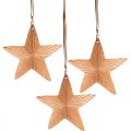 Floristik24 Ciondolo stella, decorazione natalizia, decorazione in metallo color rame 9,5 × 9,5 cm 3 pezzi